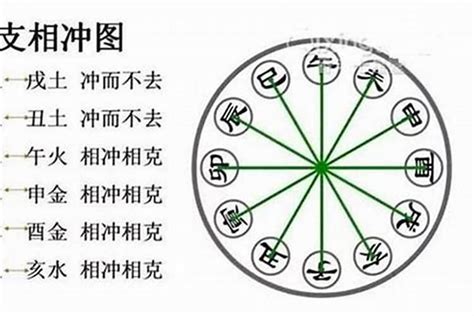 乙辛|八字乙辛冲详解(乙辛相冲对命运的影响)